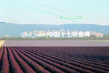 仁寿中国十七块金牌