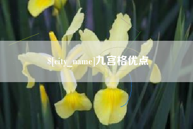 仁寿九宫格优点
