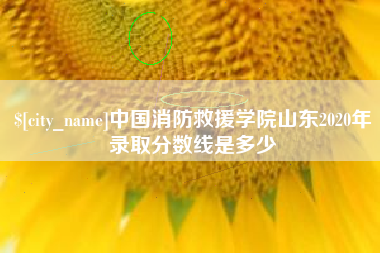 仁寿中国消防救援学院山东2020年录取分数线是多少
