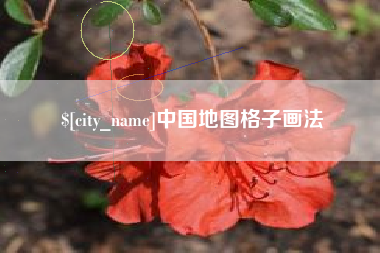 仁寿中国地图格子画法