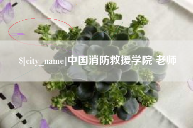 仁寿中国消防救援学院 老师
