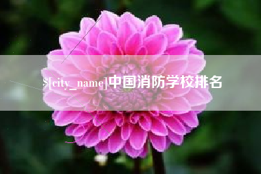 仁寿中国消防学校排名