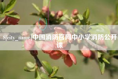 仁寿中国消防官网中小学消防公开课