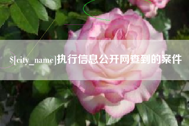 仁寿执行信息公开网查到的案件