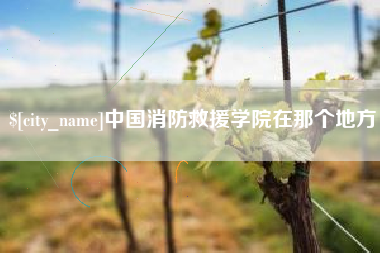 仁寿中国消防救援学院在那个地方