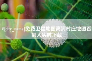 仁寿免费卫星地图高清村庄地图看到人实时下载