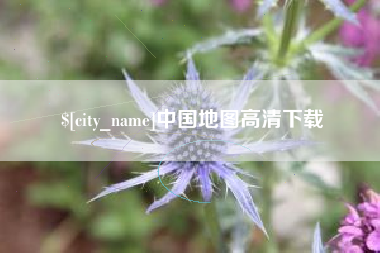 仁寿中国地图高清下载