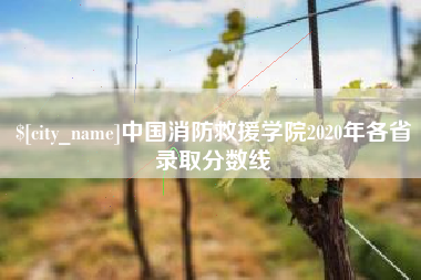 仁寿中国消防救援学院2020年各省录取分数线
