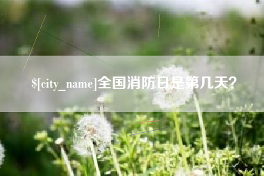 仁寿全国消防日是第几天？