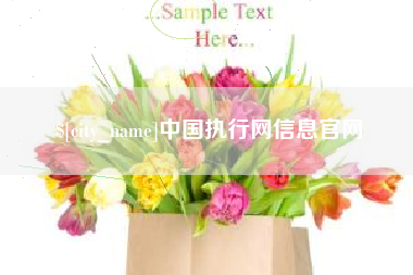 仁寿中国执行网信息官网