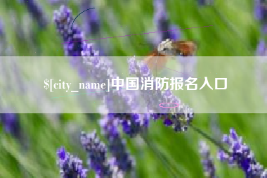 仁寿中国消防报名入口