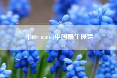 仁寿中国最牛保镖