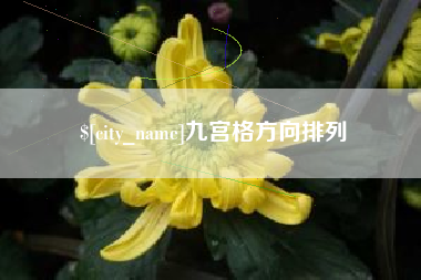 仁寿九宫格方向排列