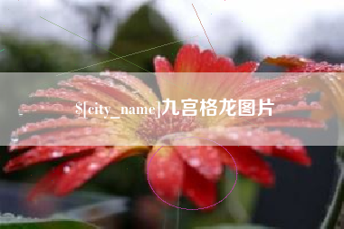 仁寿九宫格龙图片