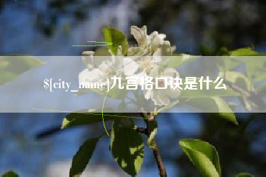 仁寿九宫格口诀是什么