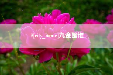 仁寿九金是谁