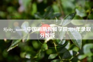 仁寿中国消防救援学院2019年录取分数线