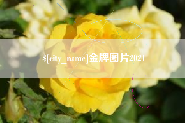 仁寿金牌图片2021