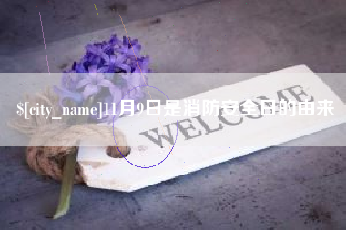 仁寿11月9日是消防安全日的由来