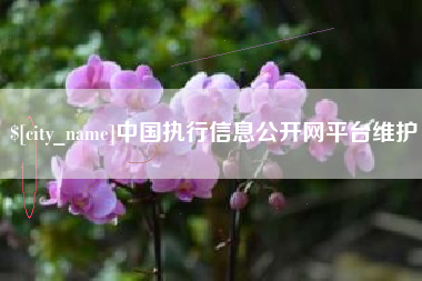 仁寿中国执行信息公开网平台维护