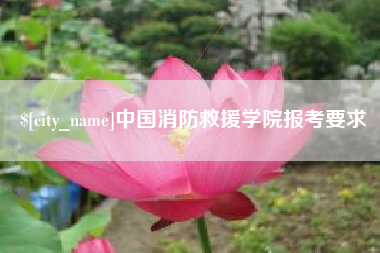 仁寿中国消防救援学院报考要求