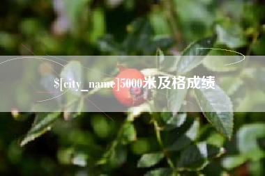仁寿5000米及格成绩