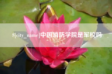 仁寿中国消防学院是军校吗