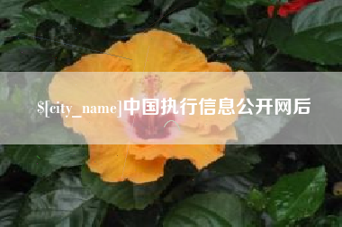 仁寿中国执行信息公开网后