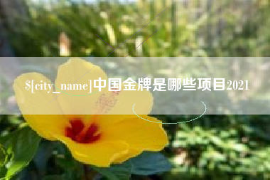 仁寿中国金牌是哪些项目2021
