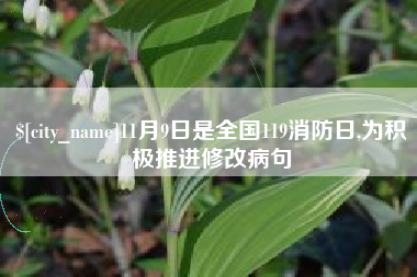 仁寿11月9日是全国119消防日,为积极推进修改病句