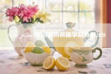仁寿中国消防救援学院分数2020