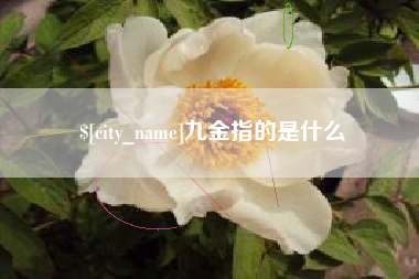仁寿九金指的是什么