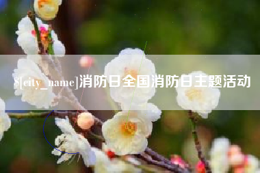 仁寿消防日全国消防日主题活动