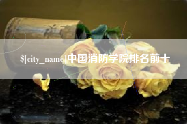 仁寿中国消防学院排名前十