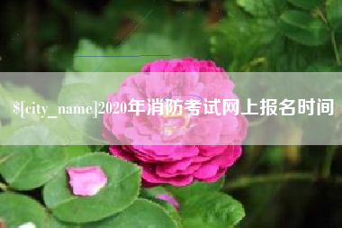 仁寿2020年消防考试网上报名时间