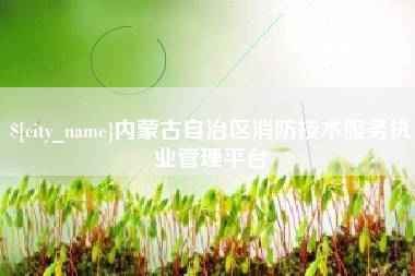仁寿内蒙古自治区消防技术服务执业管理平台