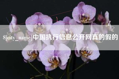 仁寿中国执行信息公开网真的假的