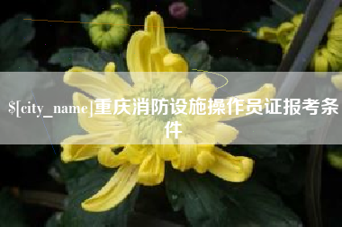 仁寿重庆消防设施操作员证报考条件