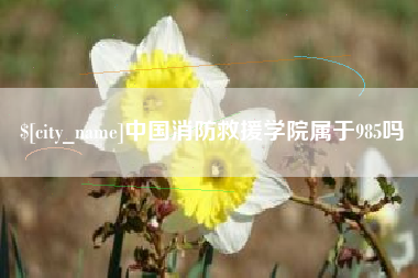仁寿中国消防救援学院属于985吗
