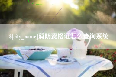 仁寿消防资格证怎么查询系统