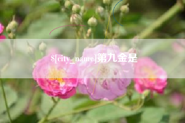 仁寿第九金是