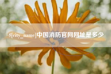 仁寿中国消防官网网址是多少