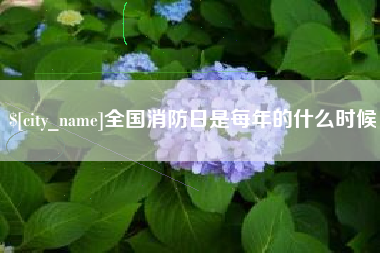 仁寿全国消防日是每年的什么时候