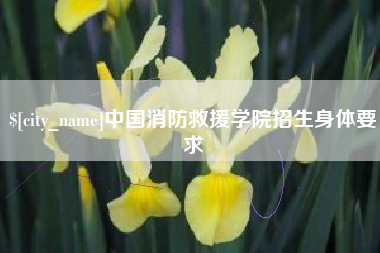 仁寿中国消防救援学院招生身体要求
