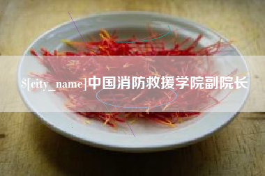 仁寿中国消防救援学院副院长