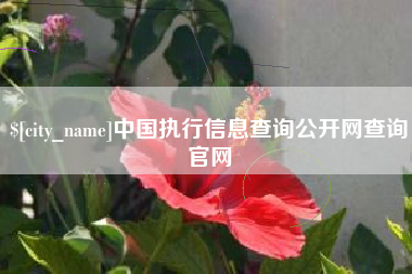 仁寿中国执行信息查询公开网查询官网