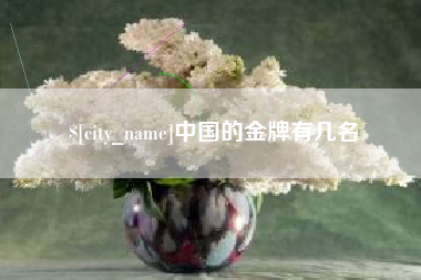 仁寿中国的金牌有几名