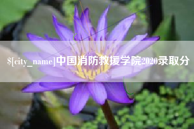 仁寿中国消防救援学院2020录取分