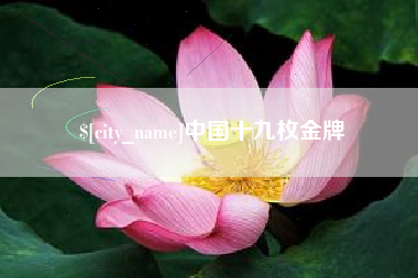 仁寿中国十九枚金牌