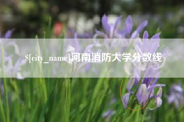 仁寿河南消防大学分数线